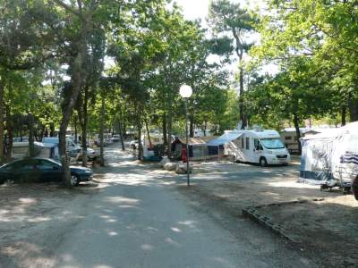 Campsite France Royan : allées emplacements camping idéal 17 en charente maritime