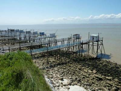 Campsite France Royan : rives talmont sur gironde proche ideal camping