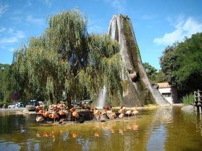 Campsite France Royan : parc animalier zoo palmyre les mathes