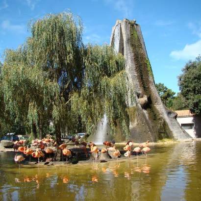 la palmyre zoo de la palmyre © cmt17 s. gaudin 3 la palmyre, charming seaside resort nouvelle aquitaine